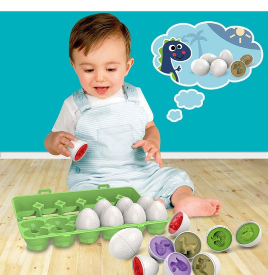 Dinosaur matching Eggs Montessori Toy 12 pcs box