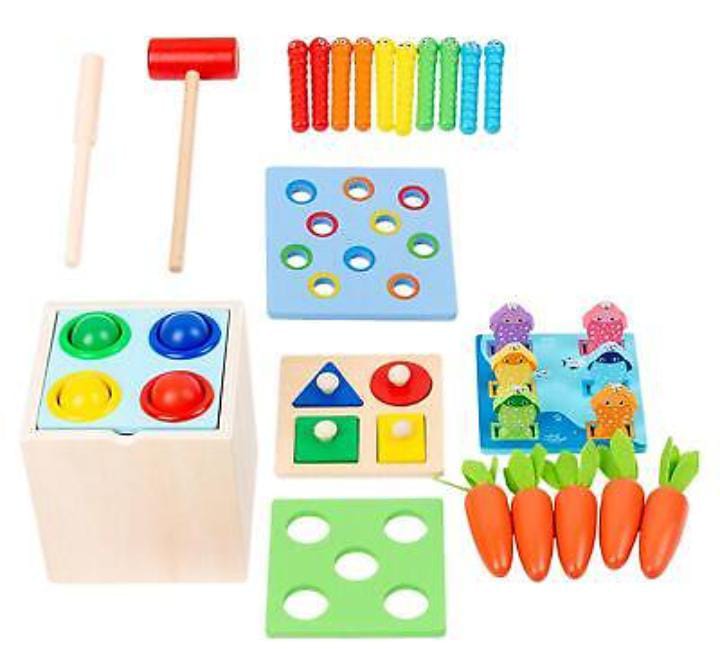 5 in 1 Wooden Toy