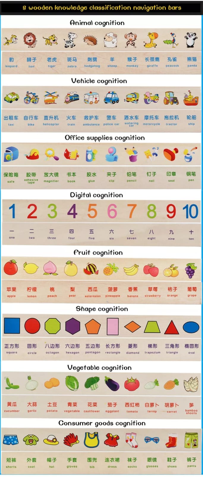 Knowledge Classification Box (Numbers, Shapes, Vehicles, Vegetables, Animals and Fruits)