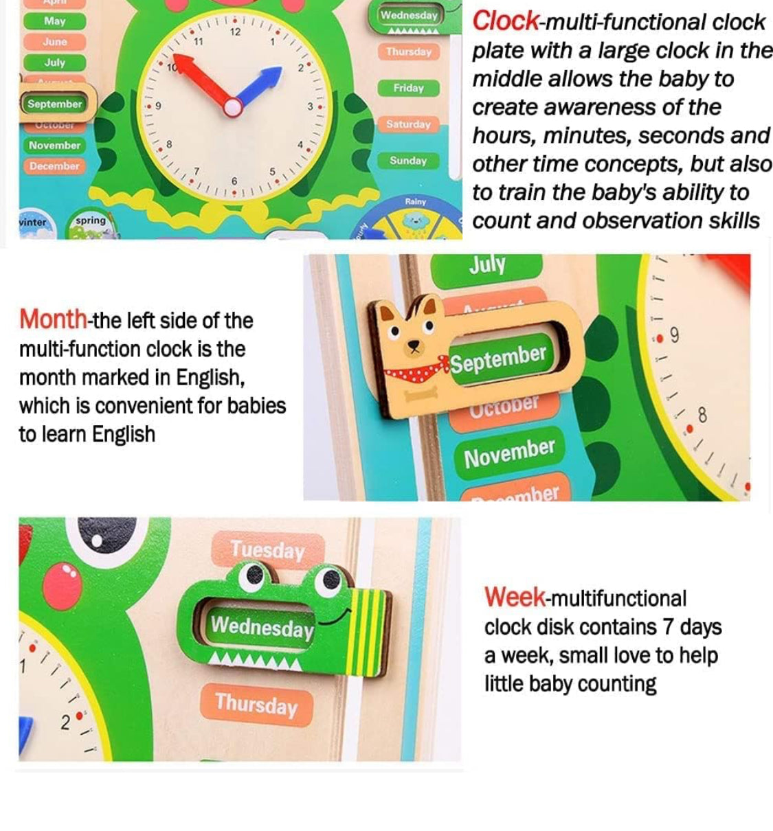 7 in 1 Wooden Calender Clock for Kids - Frog Shaped Preschool Educational Learning Puzzle Toy