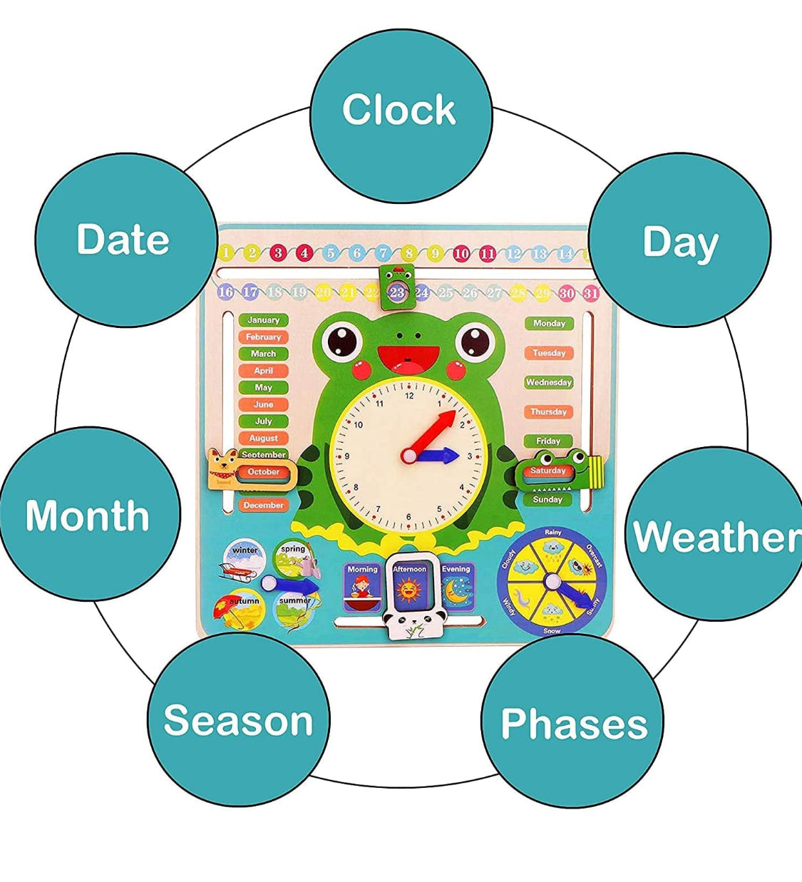 7 in 1 Wooden Calender Clock for Kids - Frog Shaped Preschool Educational Learning Puzzle Toy